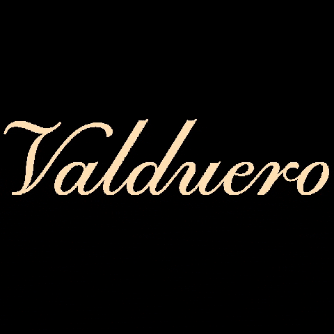 BodegasValduero giphygifmaker wine luxury vino GIF