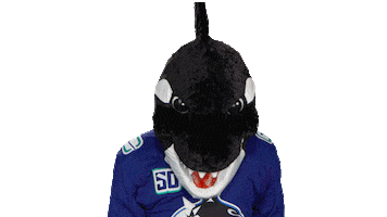 Mascot Look Up Sticker by Vancouver Canucks