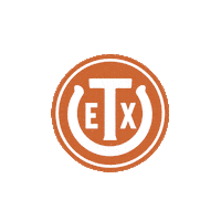 San Antonio Ex Sticker by Texas Exes