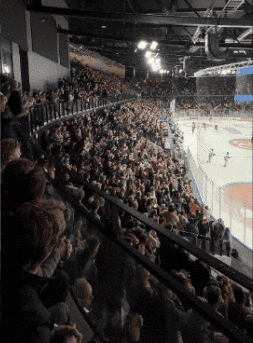 VIFHockey giphyupload ishockey vif feiring GIF