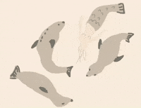 Seal Mermaid GIF by Barbara Pozzi