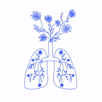 Deep Breath Breathing GIF by Zocalo Health