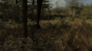 gokcecici giphyupload GIF