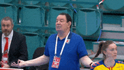 Handball Ehfeuro GIF by EHF
