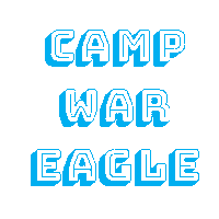 CampWarEagle summer camping camp arkansas Sticker