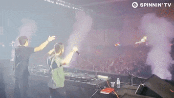 dance music dancing GIF by Spinnin' Records