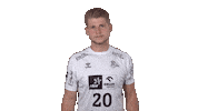 Handball-Bundesliga Handball Sticker by LIQUI MOLY HBL