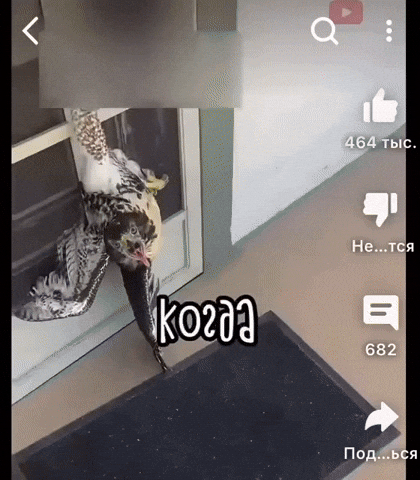 eruewyrigsafigsifgsifjgb giphyupload GIF