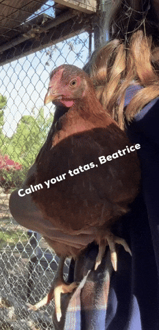 Beatrice GIF by Danamae22