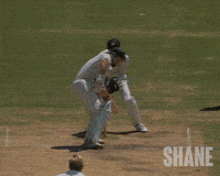 Big Bash Cricket GIF by Madman Films