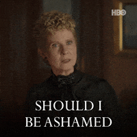 Cynthia Nixon Thegildedage GIF by HBO Max