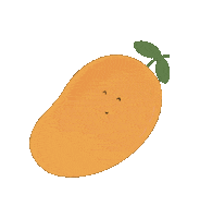 Orange Fruit Sticker