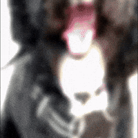 Cracking Up Laughing GIF