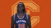 Cnwb21 GIF by Carson-Newman Athletics