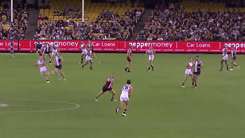 afl douglas GIF by Adelaide Crows