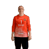 Handball Frauenhandball Sticker by Roedertalbienen