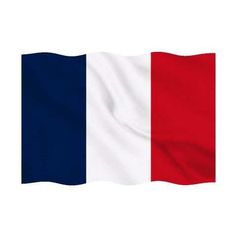 France Sticker Sticker