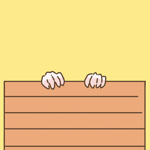 Licht Guineapig GIF