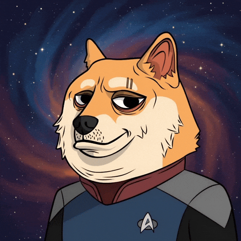 Star Trek Dog GIF by Doge Pound