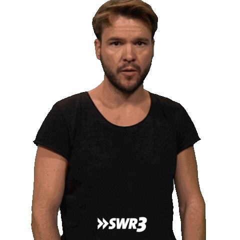 Swr3 Be Quiet Sticker