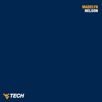 Cheer Cheerleader GIF by WVU Tech Golden Bears