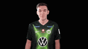 E Sports Sport GIF by VfL Wolfsburg