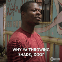 season 1 showtime GIF by The Chi