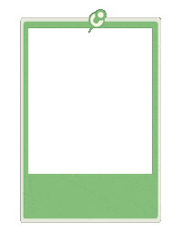 Picture Frame Sticker