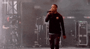 wiley GIF by Glastonbury Festival 2017