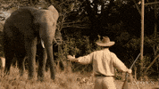the crown GIF by NETFLIX