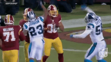 carolina panthers football GIF by NFL