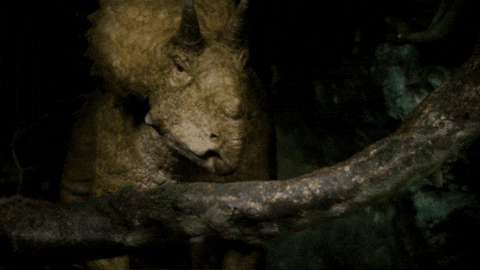 Dinosaur GIF by PBS
