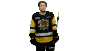 BrantfordBulldogs hockey bulldogs ohl brantford Sticker