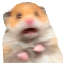 scared hamster asustado GIF
