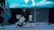 San Jose Win GIF by San Jose Barracuda
