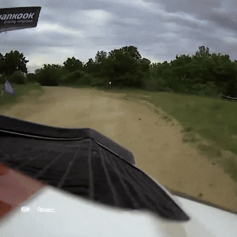 No Way Crash GIF by FIA European Rally Championship