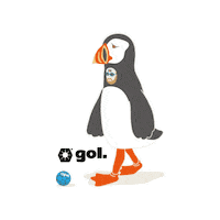 Football Soccer Sticker by gol.japan