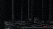 The Nun Film GIF by Magnolia Pictures