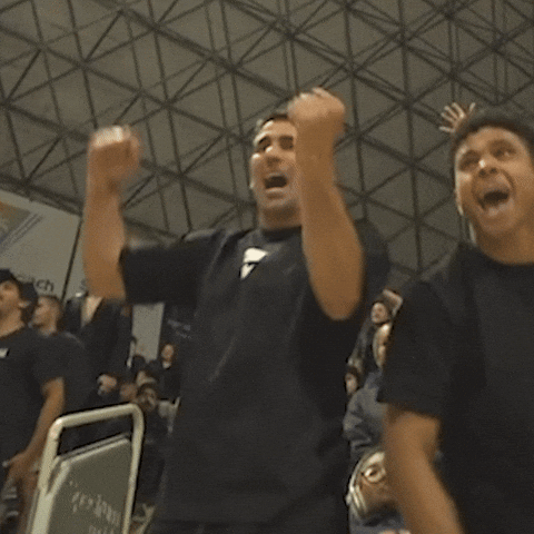 Bjj GIF by Art of Jiu Jitsu