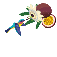 Summer Bird Sticker by Ritter Sport