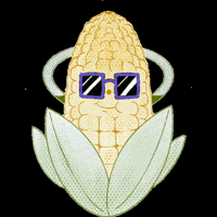 Paupiettes mais tranquille paupiette paupiettes GIF