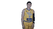 IBLindonesia 2021 ibl ibl2021 ibl indonesia Sticker