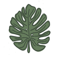 Plants Monstera Sticker by Samantha At TwentyFirstCo