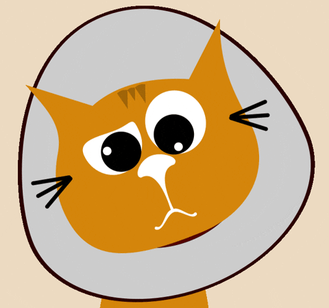 Blinking Big Eyes GIF
