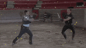 Medieval Times Slay GIF by Fearless