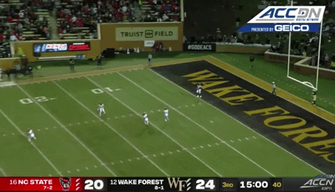 therealessad giphygifgrabber touchdown knight td GIF