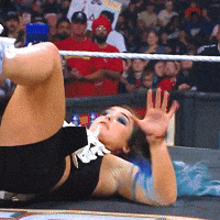 No Way Seriously GIF by WWE