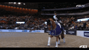 Happy Leading Ladies GIF by FEI Global