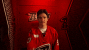 Celebrate Bud Light GIF by Rapid City Rush