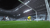 Champions League Steve GIF by Olympique de Marseille